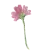 flower 8